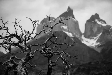 Deurstickers Cuernos del Paine Cuernos del Paine, Patagonia