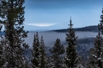 Forest and vew over the mountain in the nord marka of Norway during winter with snow - obrazy, fototapety, plakaty