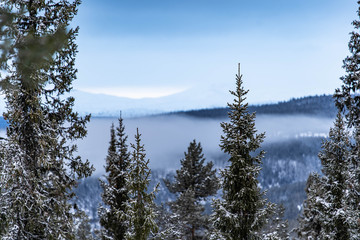 Forest and vew over the mountain in the nord marka of Norway during winter with snow