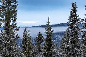 Forest and vew over the mountain in the nord marka of Norway during winter with snow - obrazy, fototapety, plakaty