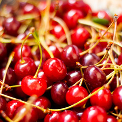 Obraz na płótnie Canvas Sweet red cherry with cherries with sprigs background