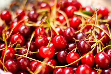 Sweet red cherry with cherries with sprigs background