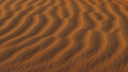 Red sand in the desert
