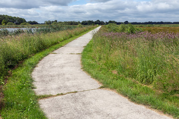 Fototapeta na wymiar Cycle path in Dutch national park with fields and wetlands