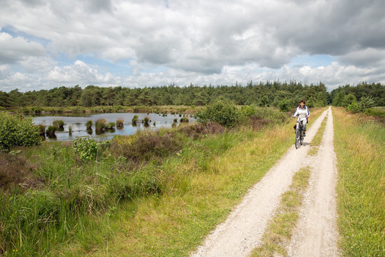 Biking woman in Dutch national park with forest and wetlands