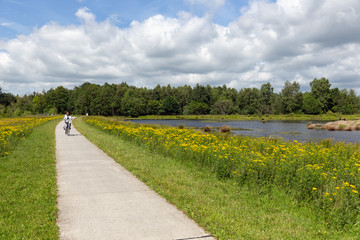 Obraz premium Biking woman in Dutch national park with forest and wetlands