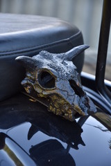 animal skull on motorcycle