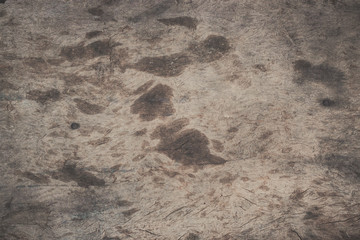 old wood background