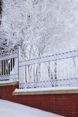 The fence of the winter park. Bushes and trees are covered with thick frost.