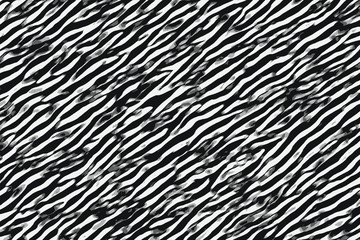 Zebra black and white stripes and skin patterns