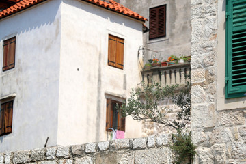 Fototapeta na wymiar Traditional Mediterranean architecture in Sibenik, Croatia. Stone walls and woode windows with olive plant in the garden. Sibenik is popular summe travel destination.