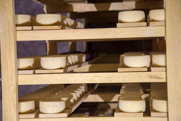 Cava of ripened cheeses in Tequisquiapan, Queretaro, Mexico