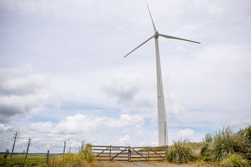 wind turbines in field