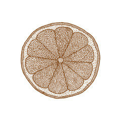 Hand drawn isolated lemon slice in zentangle style