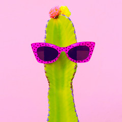 Cactus in stylish sunglasses. Summer Accessories fashion trend