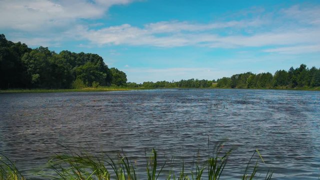 Good weather on the river, calm water, relax - summer view from the sandy shore with small stones with thickets of green grass on the pond with trees on the far shore. Tsna river, Russia. Full HD