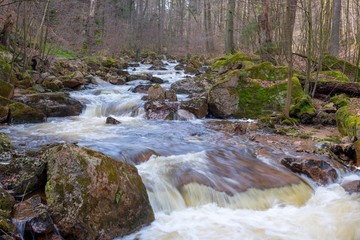 Fluss Ilse im Ilsetal, Felsbrocken mit Moos, Felsen, Flussbett, Frühling, Landkreis Harz, Ostharz, Nationalpark Harz, Sachsen-Anhalt, Deutschland, Europa