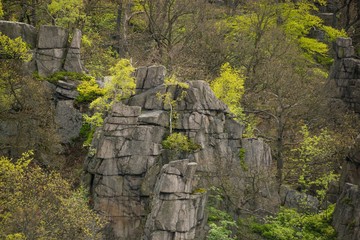 Felsen im Wald, Blick vom Hexentanzplatz Thale in das Bodetal, Mai, Frühjahr, Landkreis Harz,...