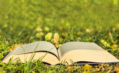 Open book on grass background.