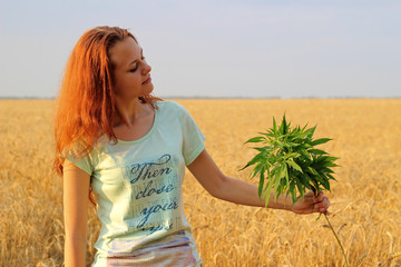 Girl on sunset with a bunch of cannabis (hemp cannabis) in yellow wheat field in summer