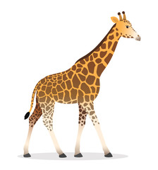 Giraffe walking cartoon animal wildlife vector illustration icon isolated on white 