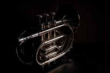Obraz na płótnie Canvas Trompete(Low-key) 1