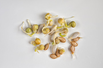 Sprouted pumpkin seeds and green peas on light background.Planting seeds. Gardening