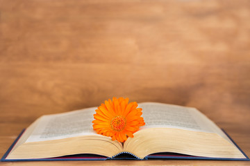 Open book on wooden background.