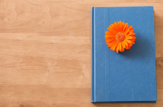 Closed book with orange flower on wooden background.
