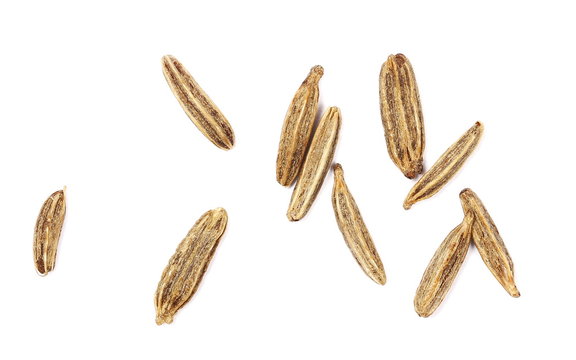Cumin, macro caraway seeds isolated on white background, top view