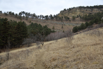 The slopes of the hills in the autumn day in cloudy weather