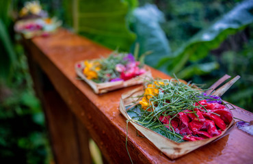 Bali Offering