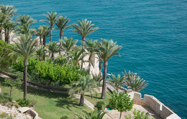 Jardín junto al mar. Peñíscola. Castellón. España.