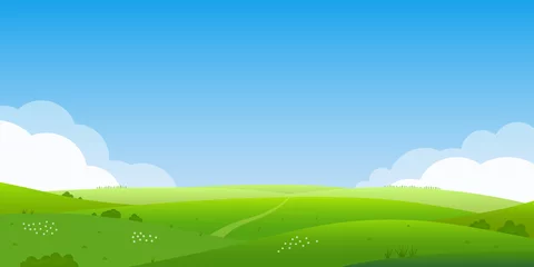  Zomer landschap achtergrond. Veld of weide met groen gras, bloemen en heuvels. Horizonlijn met blauwe lucht en wolken. Boerderij en landschap op het platteland. Vector illustratie. © metelsky25