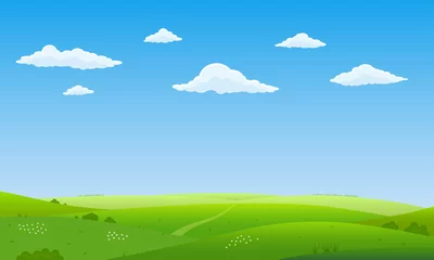 Poster Im Rahmen Summer landscape background. Field or meadow with green grass, flowers and hills. Horizon line with blue sky and clouds. Farm and countryside scenery. Vector illustration. © metelsky25