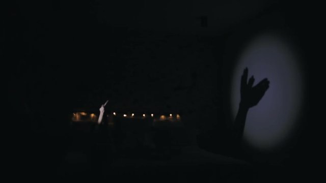 Shadow of the hand and fingers in the form of a bird on the wall. The light from a flashlight