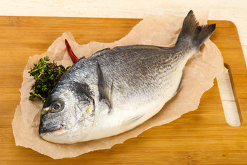 raw dorada fish