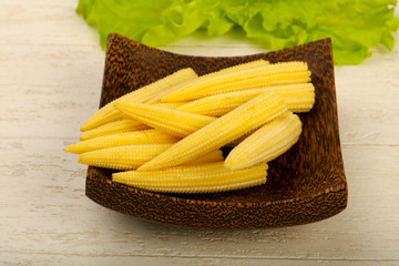 Young baby corn