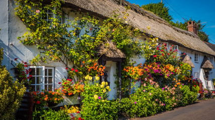 Fototapeta na wymiar Cute old English house with a thatched roof and flowers in a green hilly landscape on a summer sunny day with blue sky in the UK in a holiday Dorset countryside between Sidmouth and Lyme Regis.