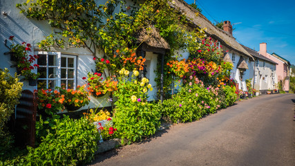 Cute old English house with a thatched roof and flowers in a green hilly landscape on a summer sunny day with blue sky in the UK in a holiday Dorset countryside between Sidmouth and Lyme Regis. - obrazy, fototapety, plakaty