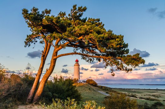 Hiddensee Leuchtturm Dornbusch am Abend