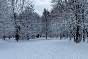 Winter in the Aviator Park in Krakow, Poland