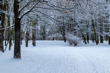 Winter in the Aviator Park in Krakow, Poland