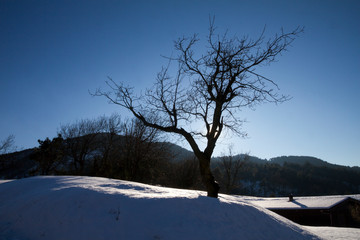 Rossiglione, Appennino Ligure, Panorami innevati