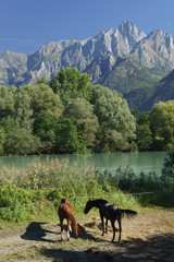 Fototapeta premium Dolomites au lac de côme