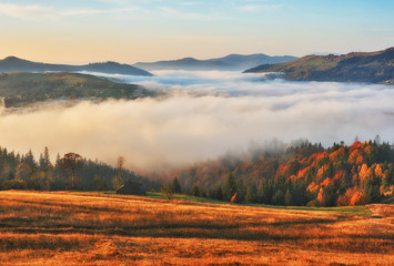 Fototapeta na wymiar picturesque sunrise in the Carpathian mountains. autumn foggy morning