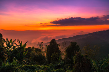 Beautiful mountain scenery view on with forest at sunset time, Bali, Indonesia