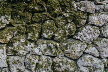 stone wall covered with moss closeup