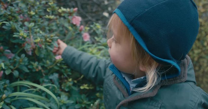 Little toddler picking flowers in garden