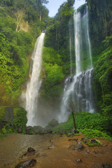 Beautiful and powerful Sekumpul waterfall